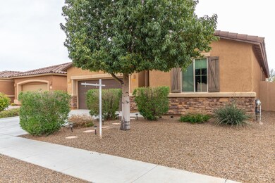 0003-Camino Borona (3)