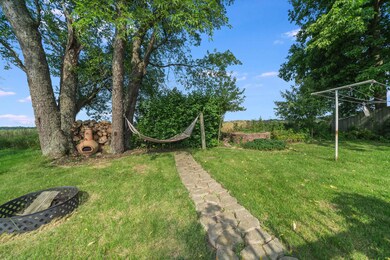 Backyard 3