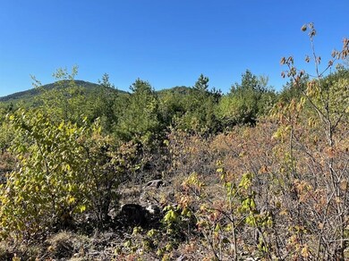 51-3 Depot Rd, Tamworth, NH 03886 - photo 2