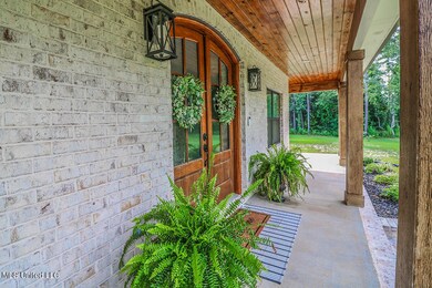 26024 Dennis Nelson Rd, Lucedale, MS 39452 - photo 6