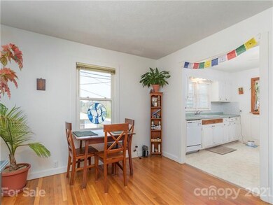 1130 Old Leicester Hwy, Asheville, NC 28806 - photo 6