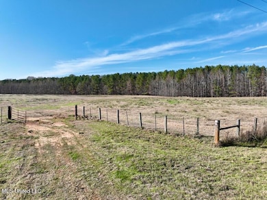 00002 Johnson Line Rd, Bolton, MS 39041 - photo 4