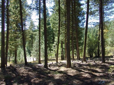 40 Rehn Loop unit 4, Cascade, ID 83611 - photo 4