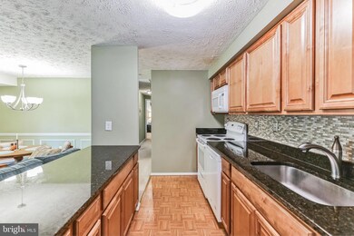 12407 Hickory Tree Way, Germantown, MD 20874 - photo 6