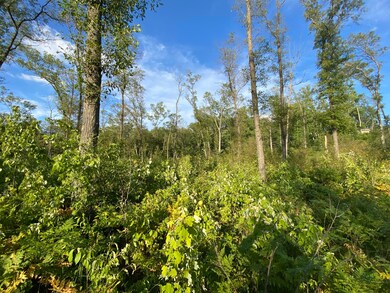 0 N Woodbridge Dr unit 22048039, Bitely, MI 49309 - photo 5