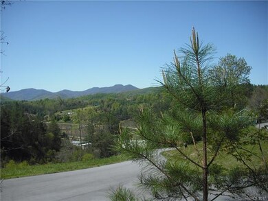 131 Timber Ridge Cir unit LOT 8, Leicester, NC 28748 - photo 3