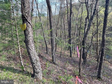 TBD Johnston, Basye, VA 22810 - photo 4