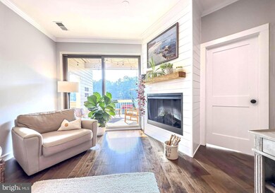 11250 Harbor Ct unit 1250, Reston, VA 20191 - photo 3