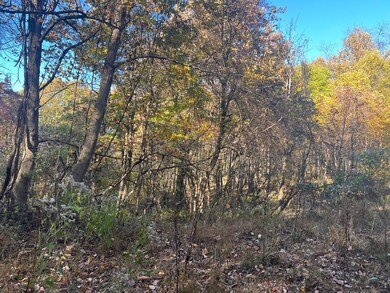 0 Braughler Rd unit 25589570, Grant Township, PA 15771 - photo 4