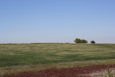 0 N 20th Rd, Sylvan Grove, KS 67481 - photo 2