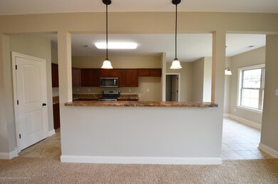 Kitchen from great room_pe