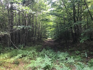 0 W 48th St unit 18035343, Newaygo, MI 49337 - photo 3