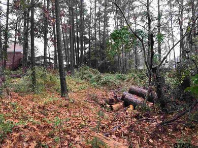 2649 Westminster Dr, Tyler, TX 75701 - photo 3