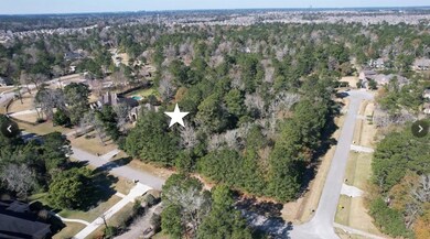 27315 E Benders Landing Blvd, Spring, TX 77386 - photo 6