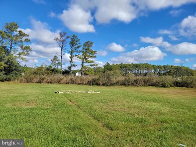 2416 Asquith Island Rd, Crapo, MD 21626 - photo 6