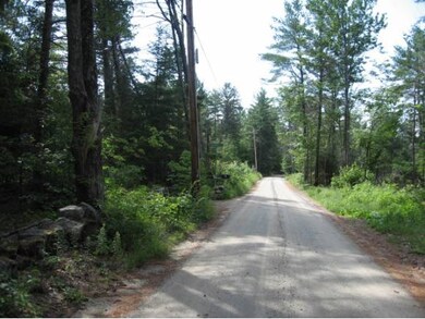 191 Wilkinson Swamp Rd, Effingham, NH 03882 - photo 2