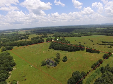 000 County Rd O-532 unit 13, Ava, MO 65608 - photo 3