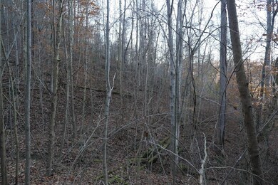 0 Bristol Hwy unit LotWP001, Bristol, VA 24202 - photo 3