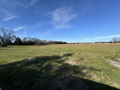 313 Holly Grove Rd, Lascassas, TN 37085 - photo 4