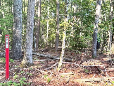 Lot 5 Felix Rd, Murphy, NC 28906 - photo 5