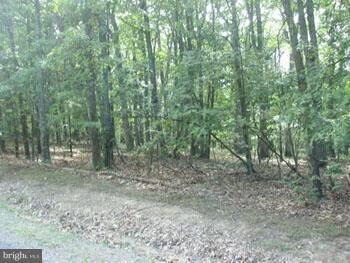 10 Deerwood Ln, Berkeley Springs, WV 25411 - photo 2