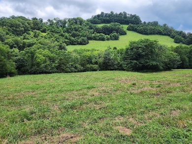 0 Granville Hwy unit RTC2975023, Granville, TN 38564 - photo 6