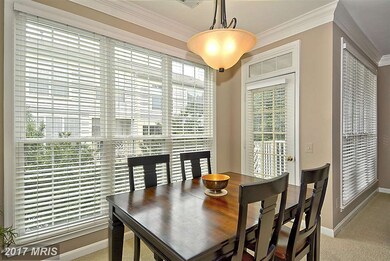 1714 Osage St unit 302, Alexandria, VA 22302 - photo 6