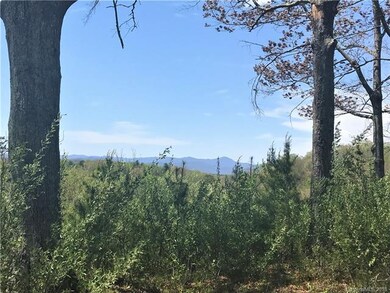 00 Chapman Dr, Hendersonville, NC 28792 - photo 4