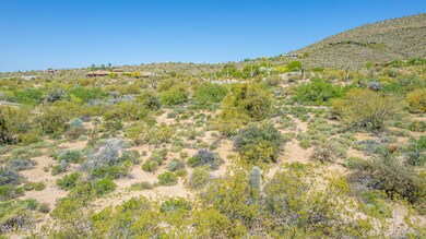 Covey Trail