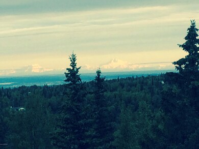 View of the mountains