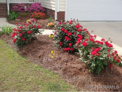 2901 Chellowe Ct, Winterville, NC 28590 - photo 3