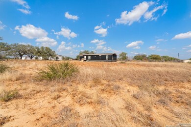 2951 Farm To Market Road 1333, Poteet, TX 78065 - photo 4