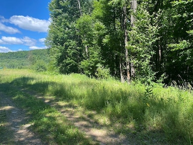 00 Ellisburg Rd, Genesee, PA 16923 - photo 7