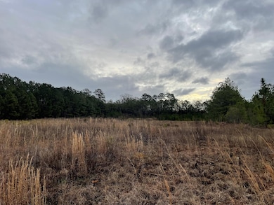 lot 8 Sumrall Rd, Columbia, MS 39429 - photo 3