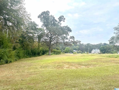 76 4th Ave, Lincoln, AL 35096 - photo 6