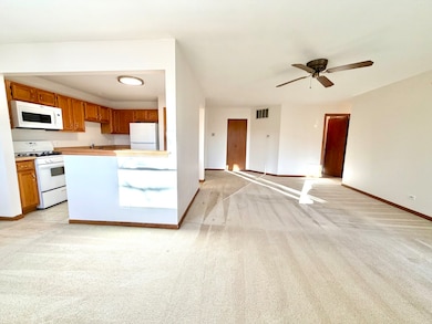 120 Stirling Ln unit Z1, Schaumburg, IL 60194 - photo 3