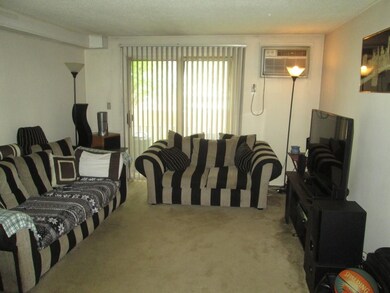 210 Smith St unit 8, Lowell, MA 01851 - photo 3