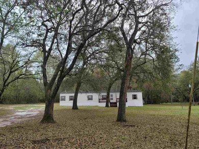 389 Greenlea Cir, Crawfordville, FL 32327 - photo 5