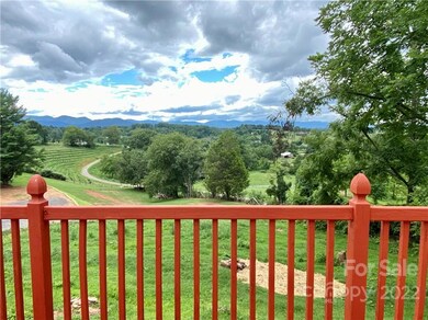 124 Dix Creek Chapel Rd, Asheville, NC 28806 - photo 6