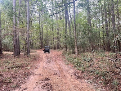 Highway 33, Crosby, MS 39633 - photo 2