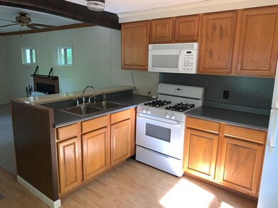 28775 Ket-Gillespie Dr, Beaver Island, MI 49782 - photo 5