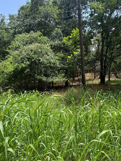 View of undeveloped land