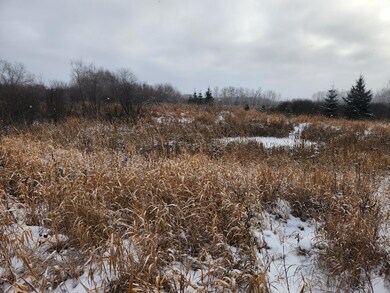 TBD 149th Ave, Sebeka, MN 56477 - photo 5