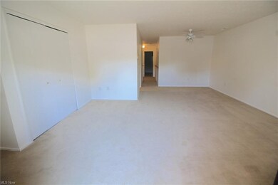 WHITE WALLS AND BEIGE CARPETING. THE WHITE LINES ON THE FLOOR IS THE SUN COMING IN FROM THE SLIDING GLASS DOOR.