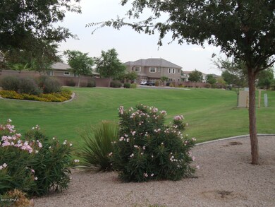 Grassy area across the street