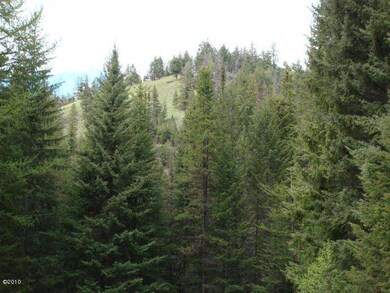 Wooded wonderland