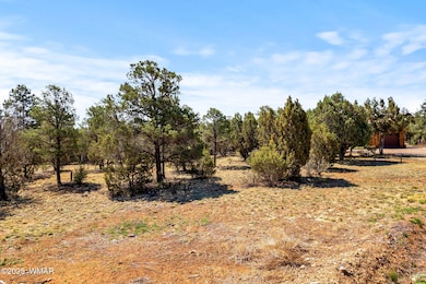 3327SawMillRidgeLoop-Heber-AZ-2