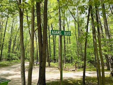 Lots 1-8 Adams Roosevelt, Roscommon, MI 48653 - photo 6