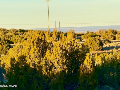 136 Zuni Dr, Concho, AZ 85924 - photo 4