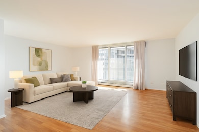 Thorndale Beach North Condominium unit 9G, Chicago, IL 60660 - photo 3